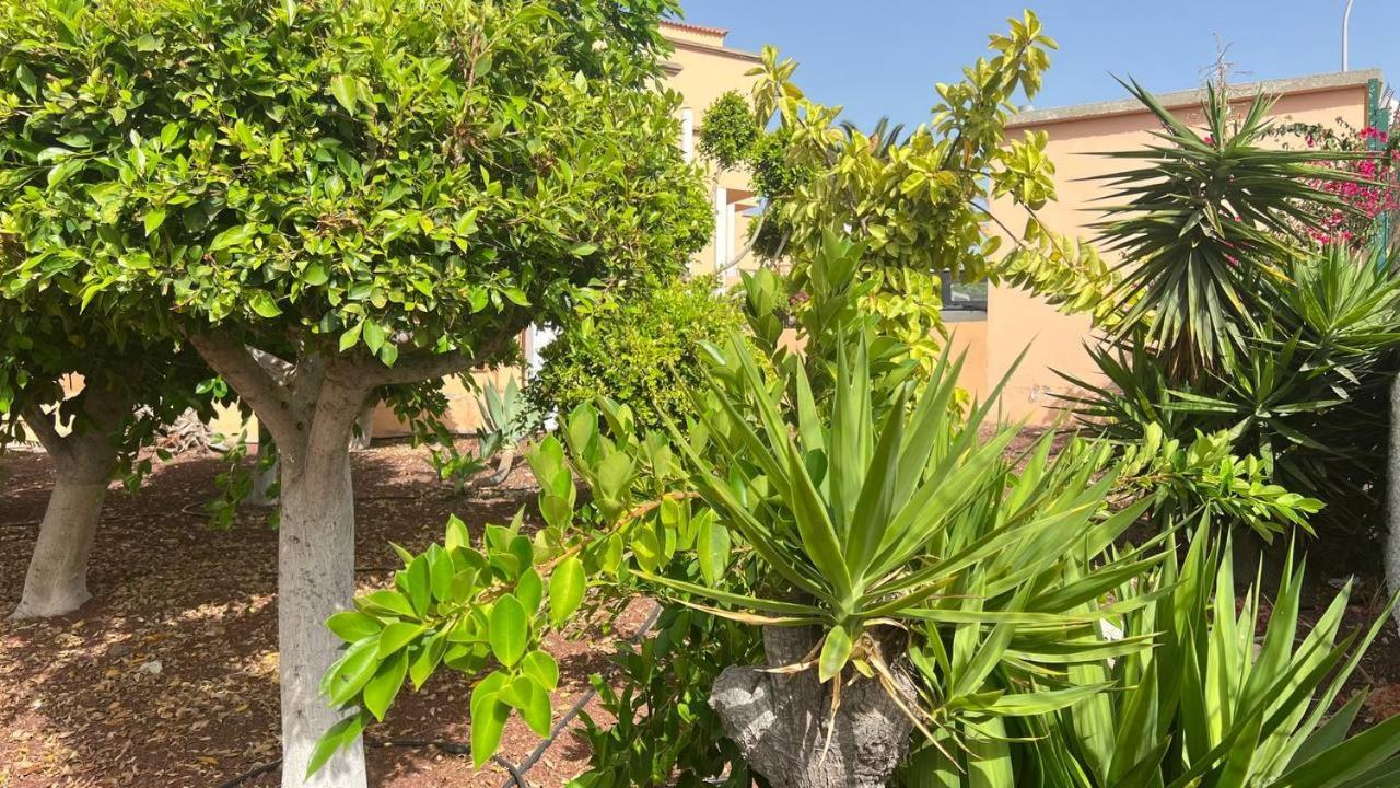 Ocean View Apartment In Orlando Costa Adeje  Exterior photo
