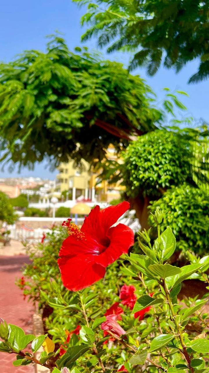 Ocean View Apartment In Orlando Costa Adeje  Exterior photo